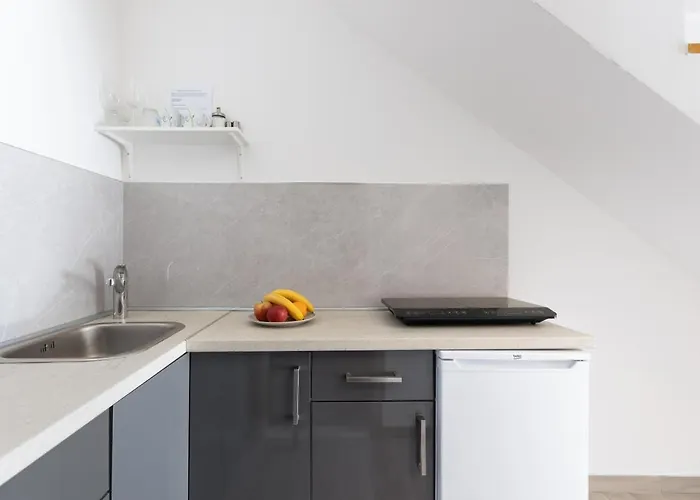 아파트먼트 타냐 올드타운 *